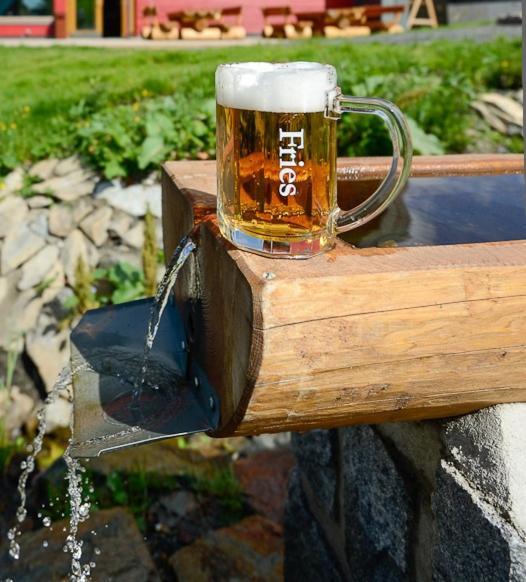 霍斯奇弗利索维包迪酒店 Strážné 外观 照片